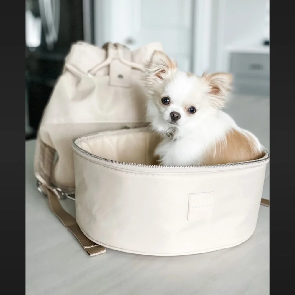 🐶 Maxbone Pet Dog Cat Carrier